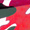 Red Camo Kart